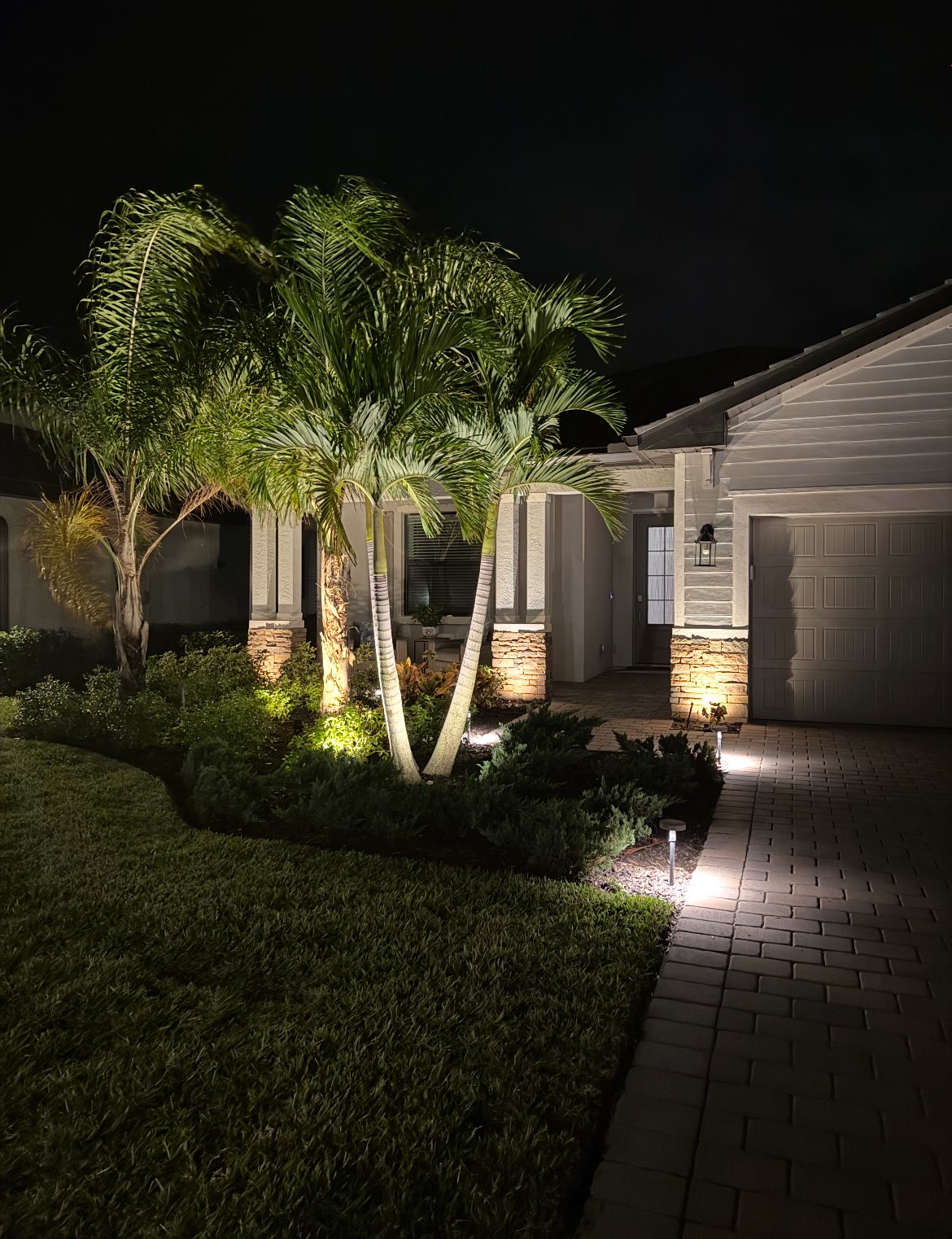 Palm trees uplit beside a paver walkway and path light